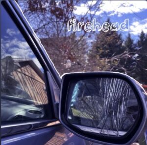 “forehead” Di Porcelain Parrot